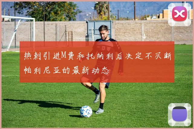 热刺引进M费和托纳利后决定不买断帕利尼亚的最新动态