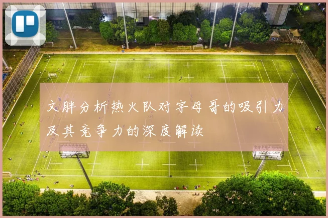 文胖分析热火队对字母哥的吸引力及其竞争力的深度解读